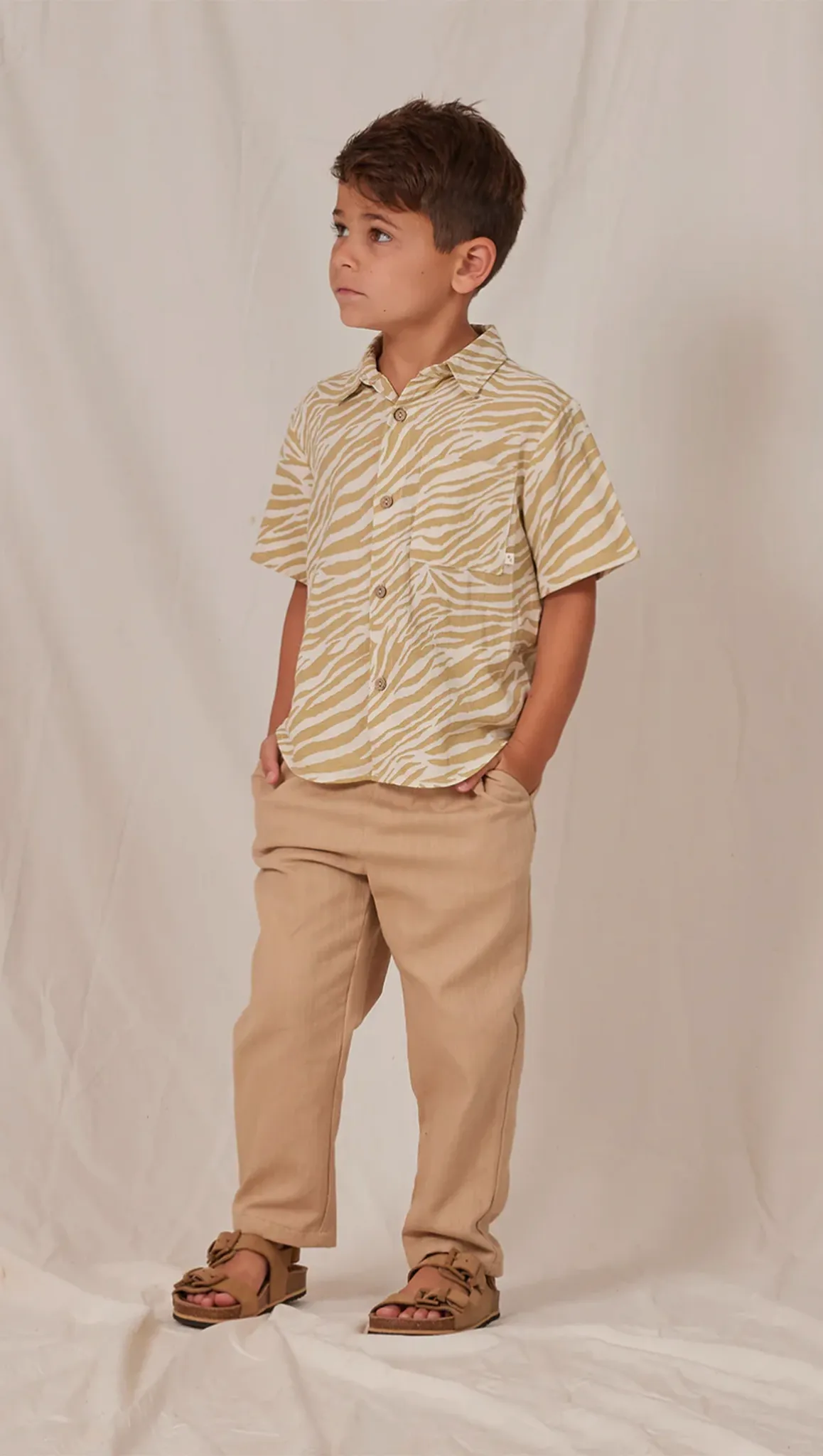Collared Short Sleeve Shirt - Zebra