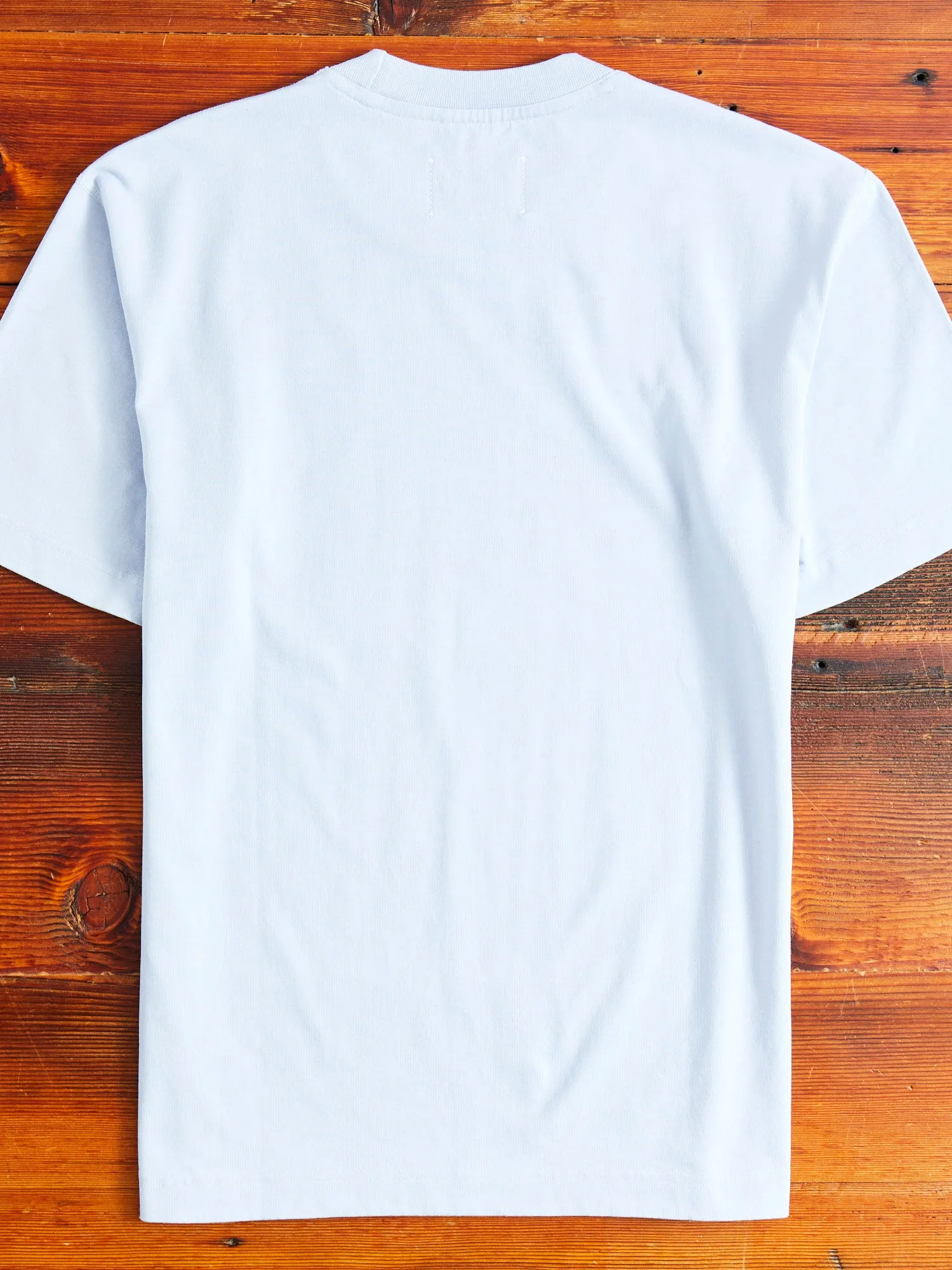 Midweight Jersey T-Shirt in Ice Blue